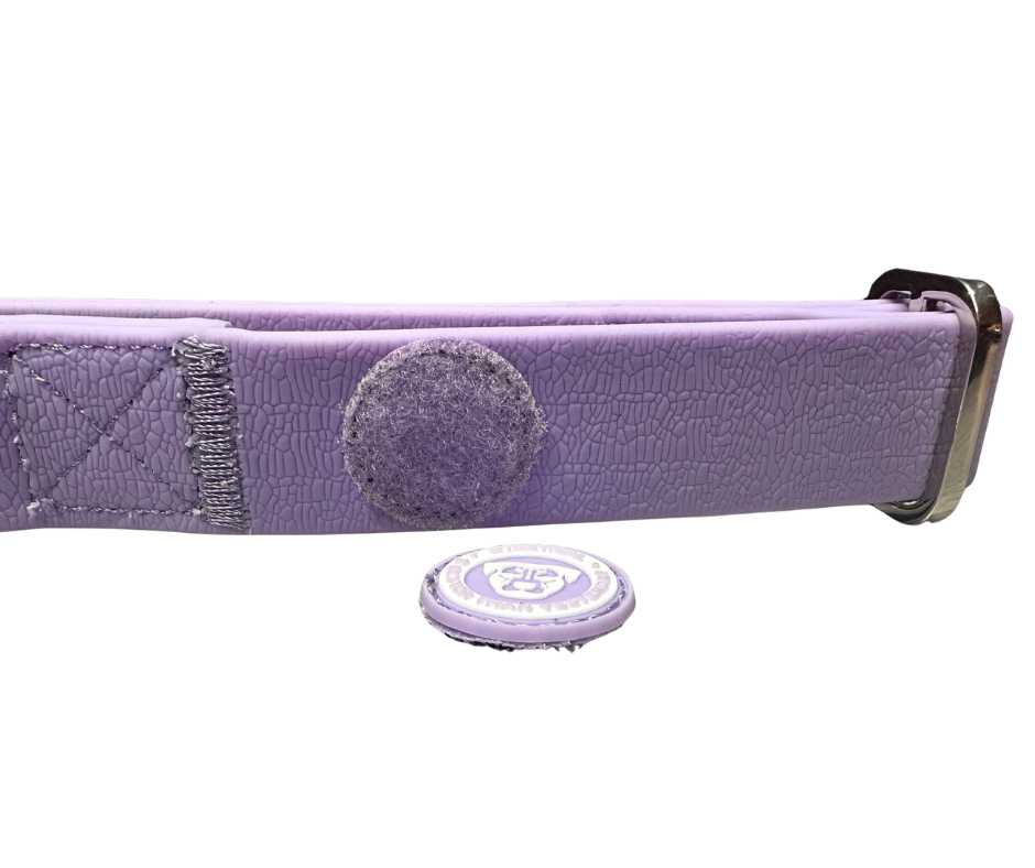 Puppy PVC BTactical™ Collar | Pastel Purple