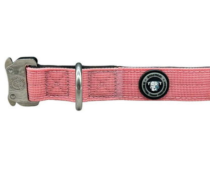 2.5cm Nylon BTactical™ Collar | Pretty Pink