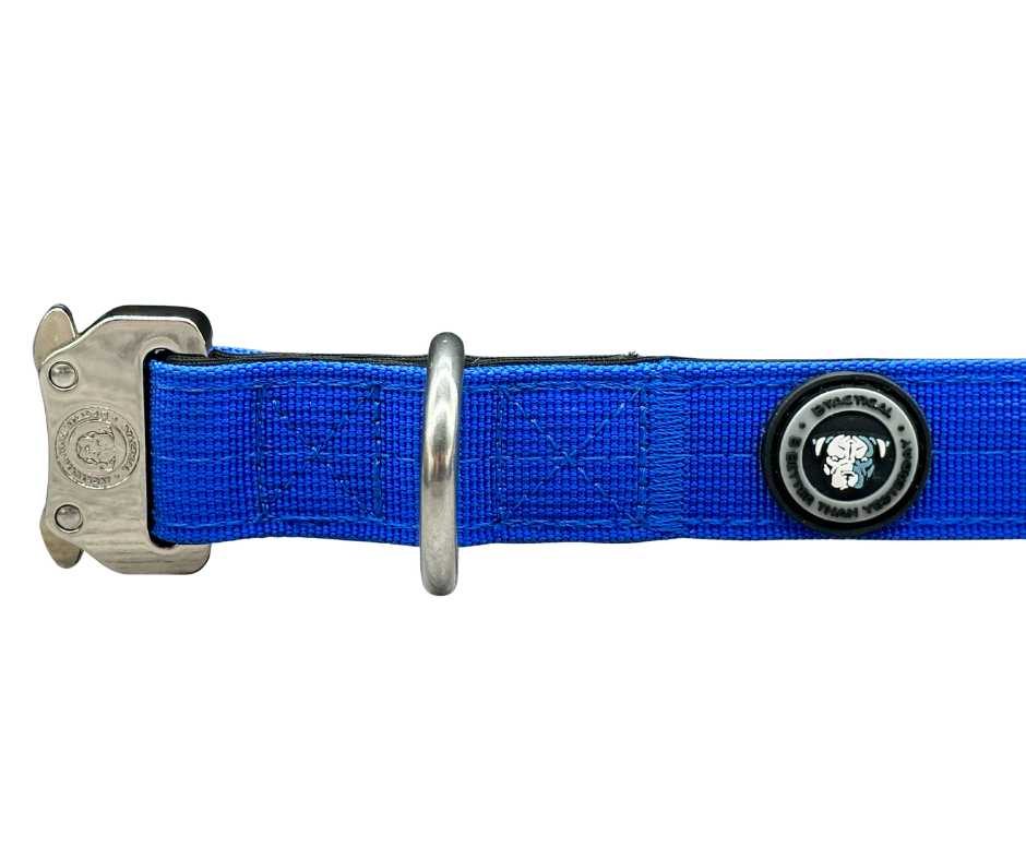 2.5cm Nylon BTactical™ Collar | Royal Blue