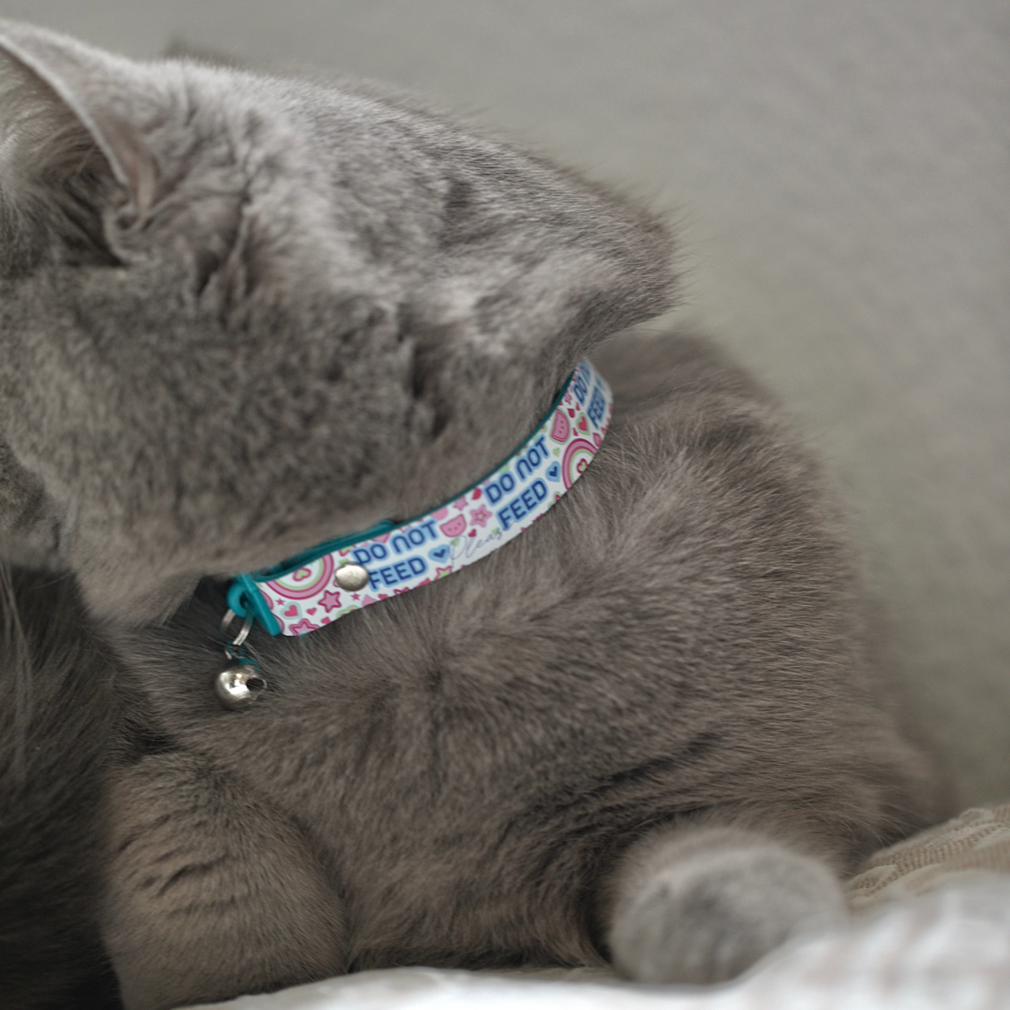 KITTYRAMA PEARL 'DO NOT FEED' CAT COLLAR - Quick Release, Breakaway, Hypoallergenic