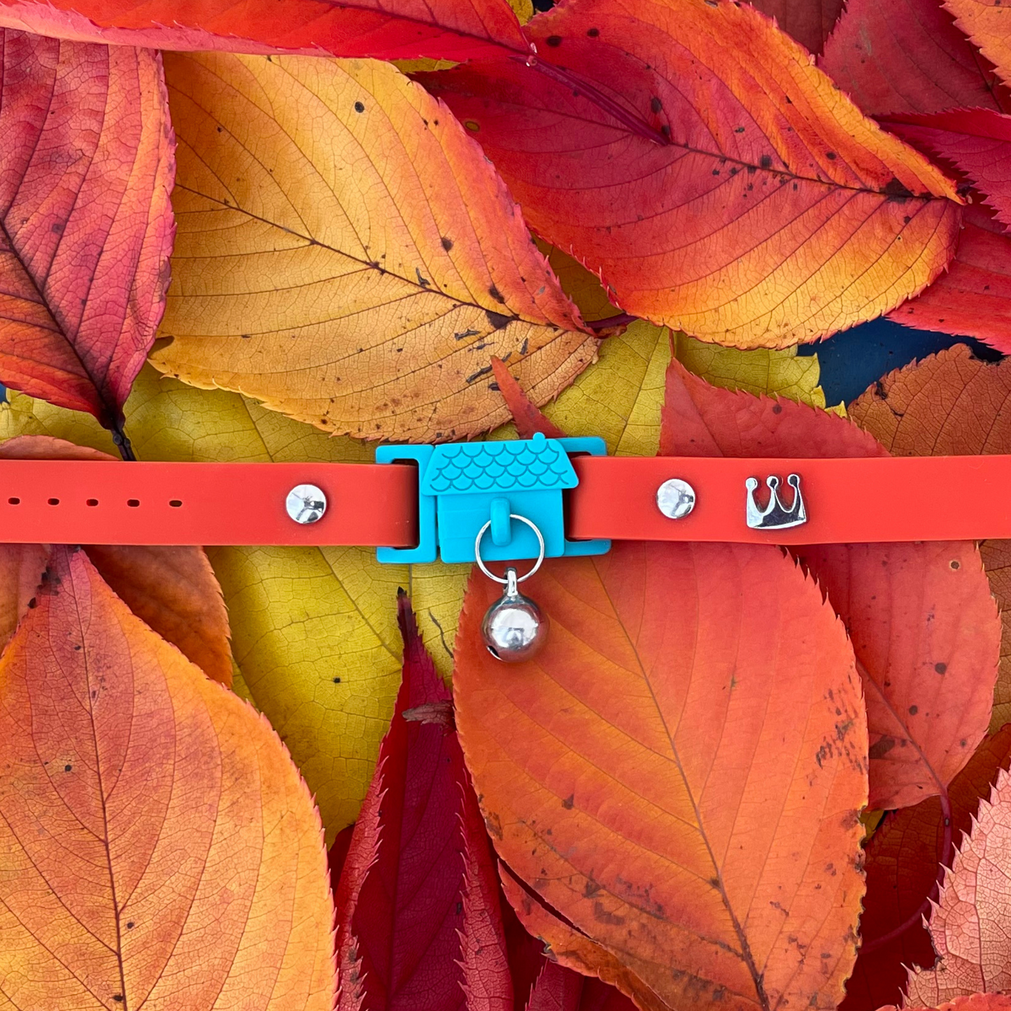 KITTYRAMA SAFFRON CAT COLLAR - Quick Release, Breakaway, Hypoallergenic