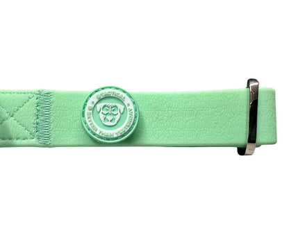 2.5cm PVC BTactical™ Collar | Pastel Green