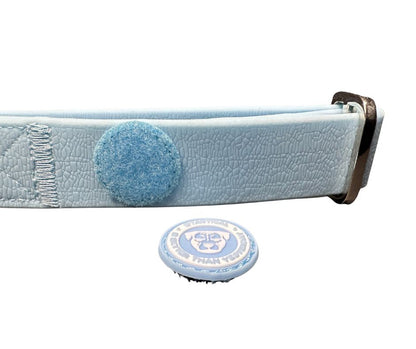 Puppy PVC BTactical™ Collar | Pastel Blue