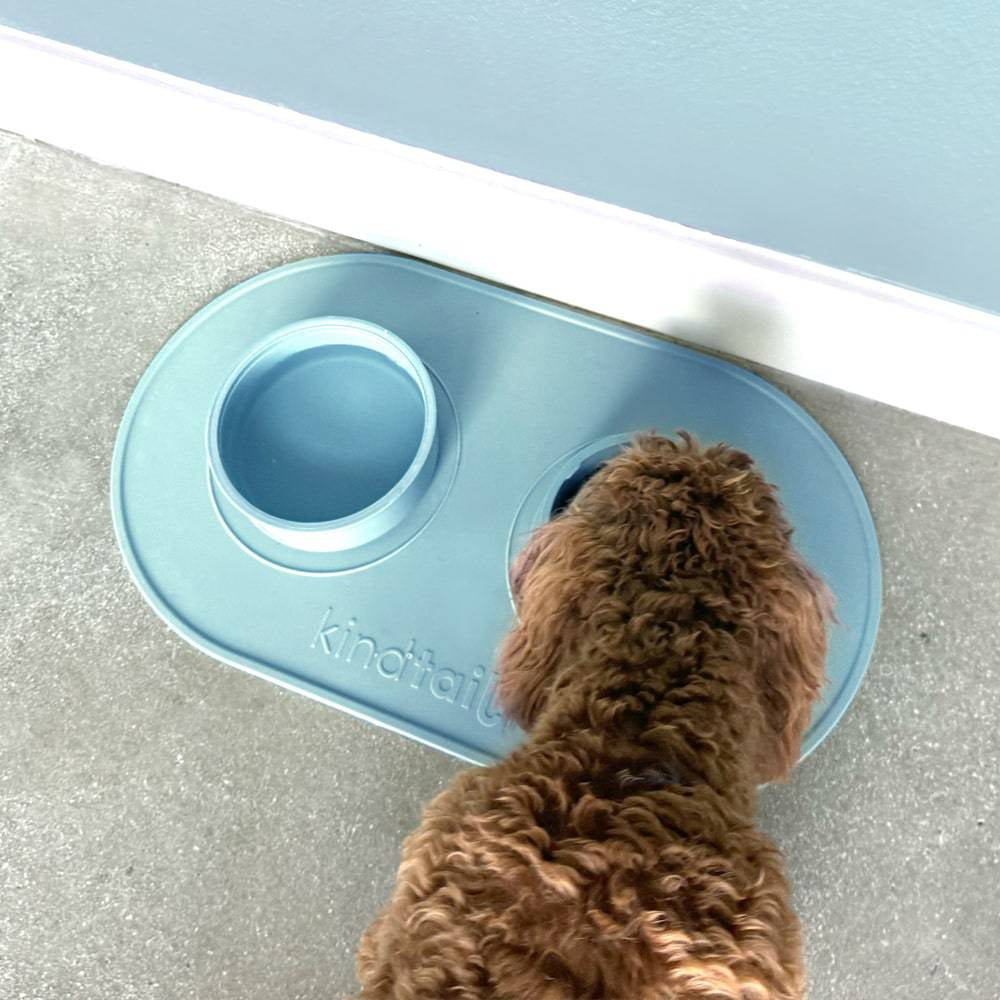 Kind Silicone Dog Food Mat