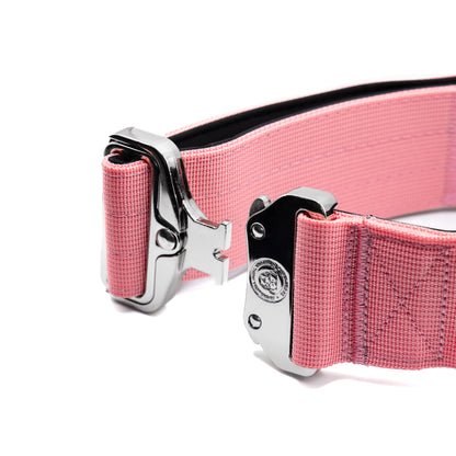 5cm Nylon BTactical™ Collar | Pretty Pink
