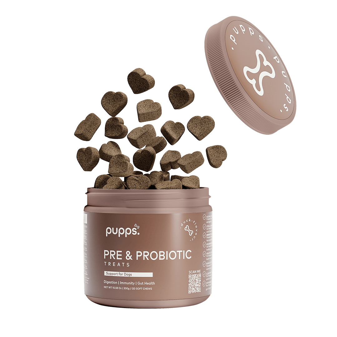 Pre & Probiotic Treats