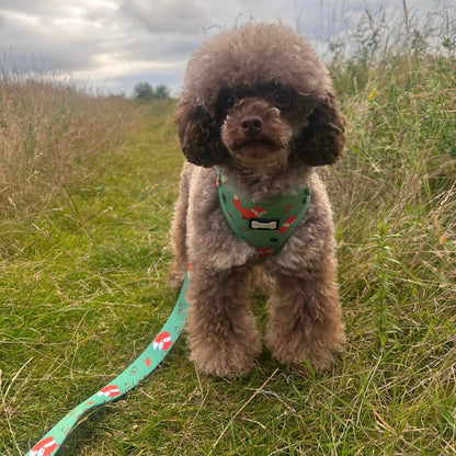 Inquisitive Fox XXS Puppy Harness