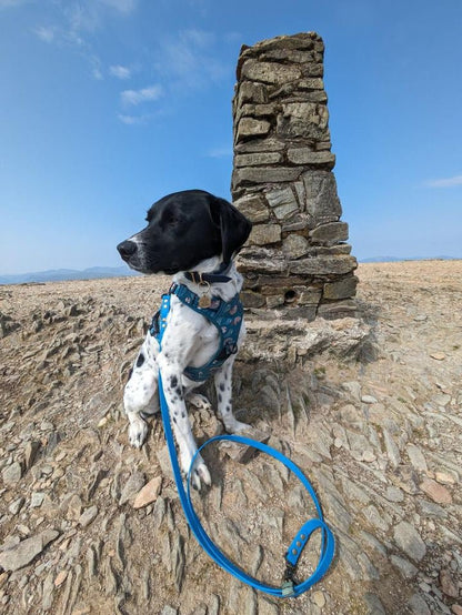 Lazy Sloth Tactical Dog Harness