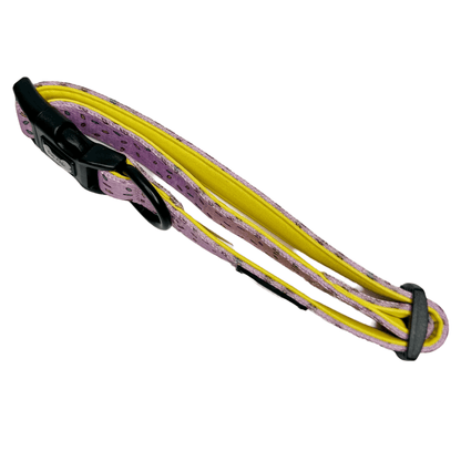 Sprinkles For Days Collar - pink or blue sprinkles dog collar