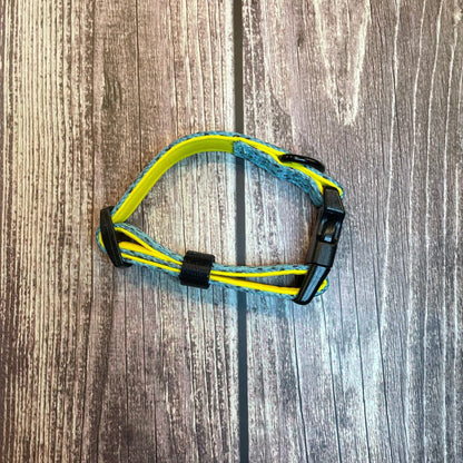 Sprinkles For Days Collar - pink or blue sprinkles dog collar