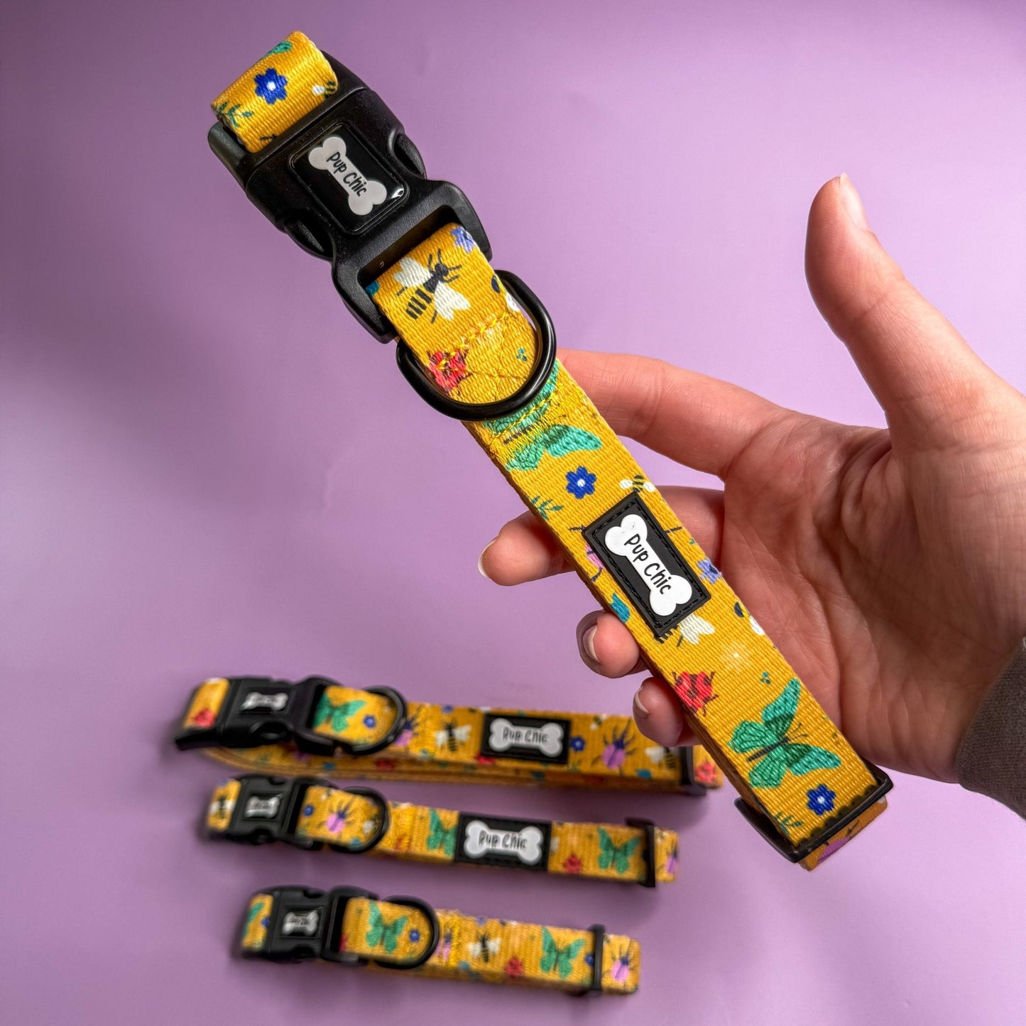 Summer Buzzin’ Dog Collar