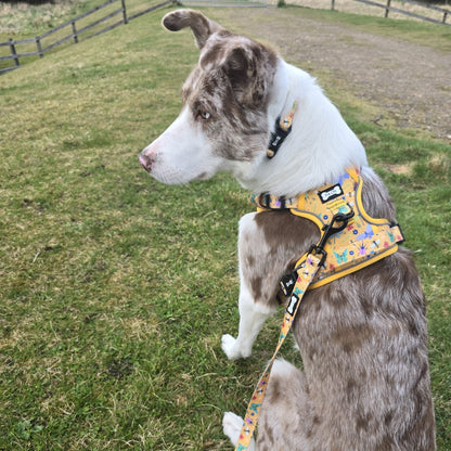 Summer Buzzin' No Pull Tactical Dog Harness – Yellow Insect Print, Adjustable, Step-In (XS-XL)