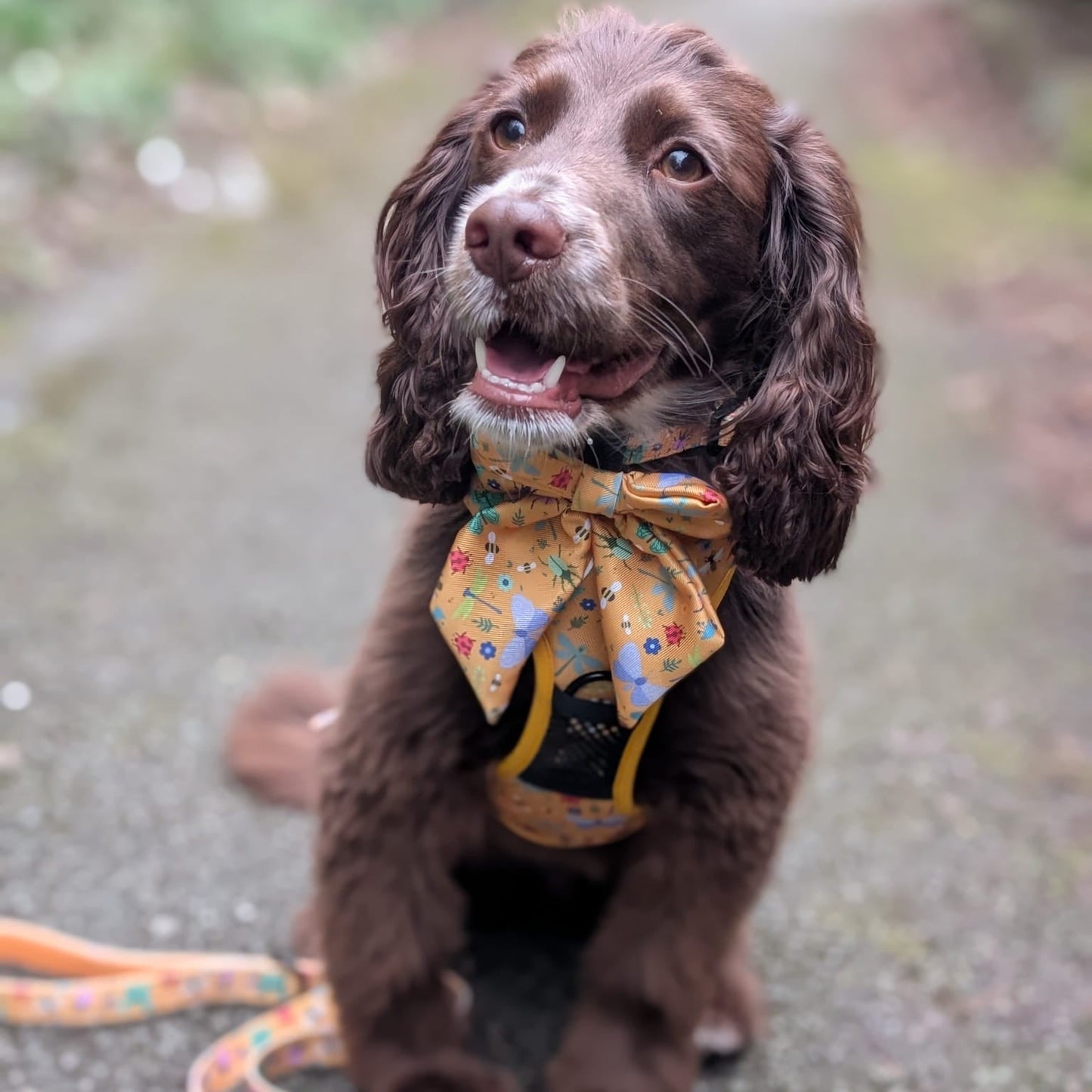 Summer Buzzin' No Pull Tactical Dog Harness – Yellow Insect Print, Adjustable, Step-In (XS-XL)